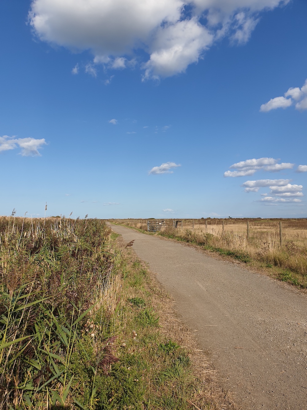 Rspb Walk Muswell Manor