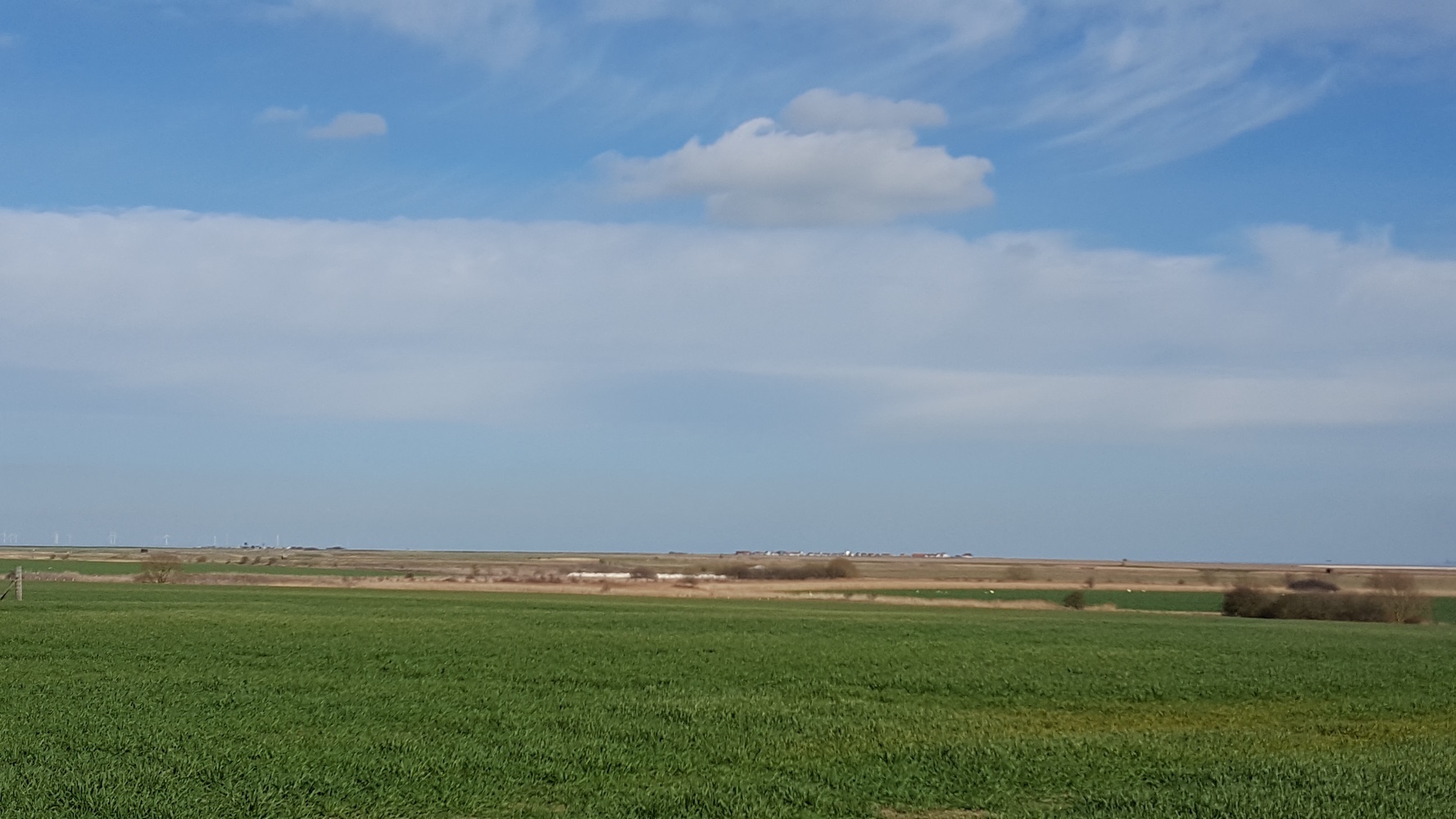 View Towards Shellness