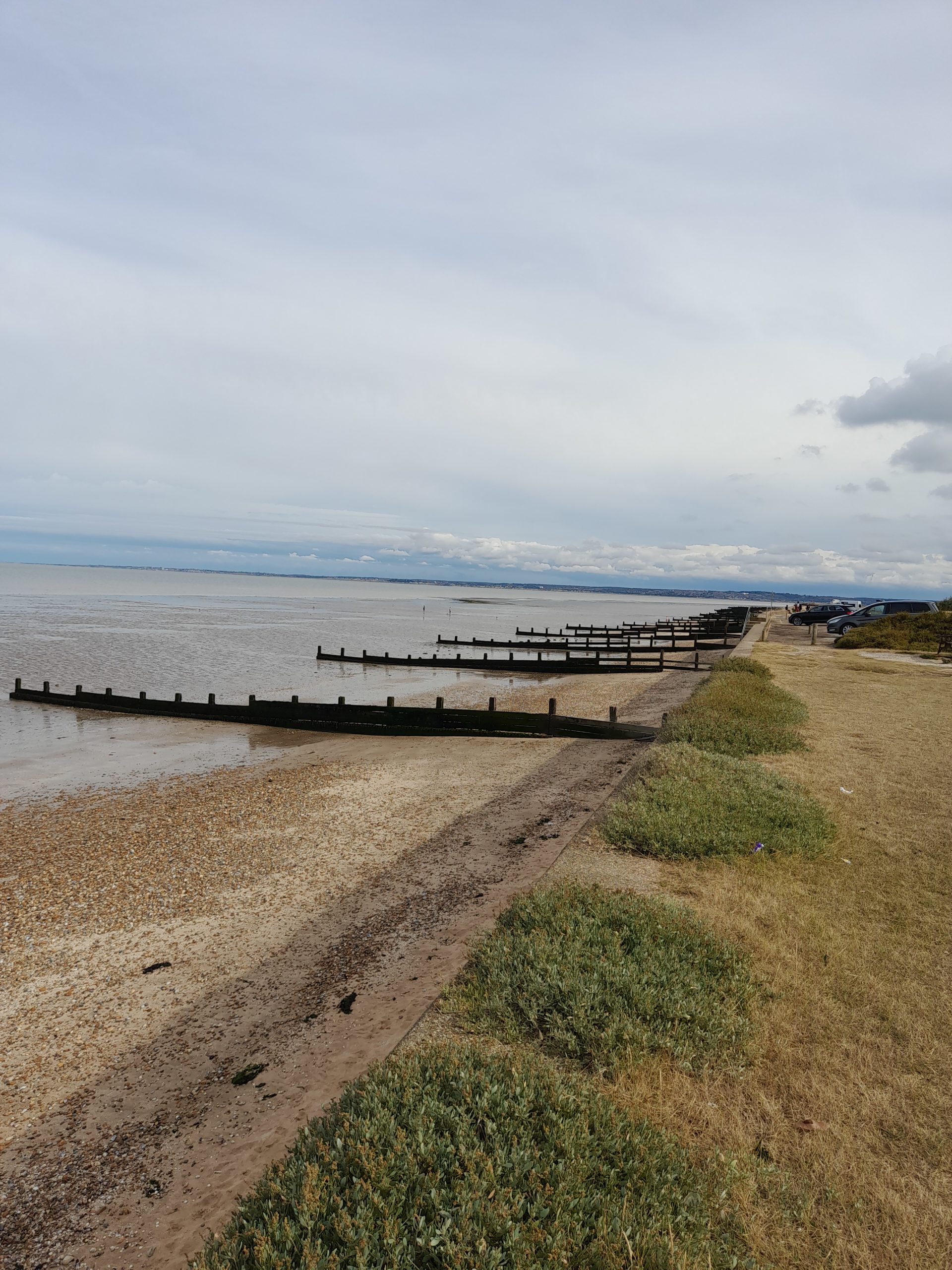 Lynne's Photo3